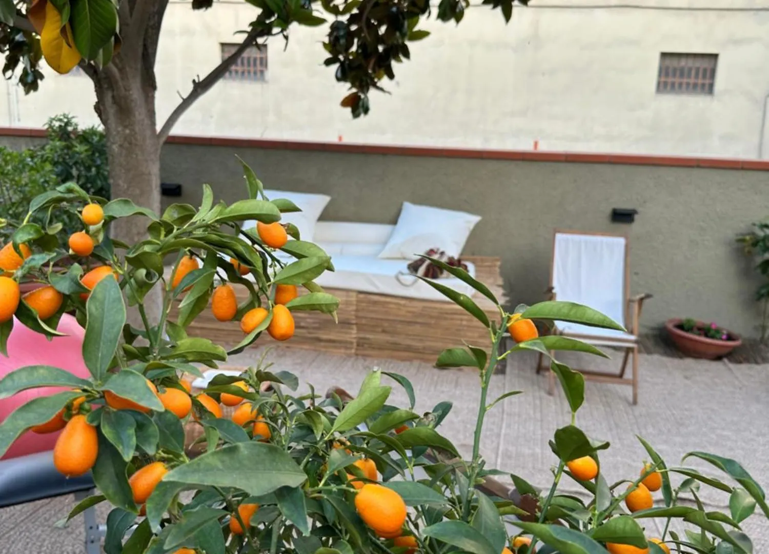 Domus Socolatae Cocoa Journey Tuscan Lifestyle B&B Follonica