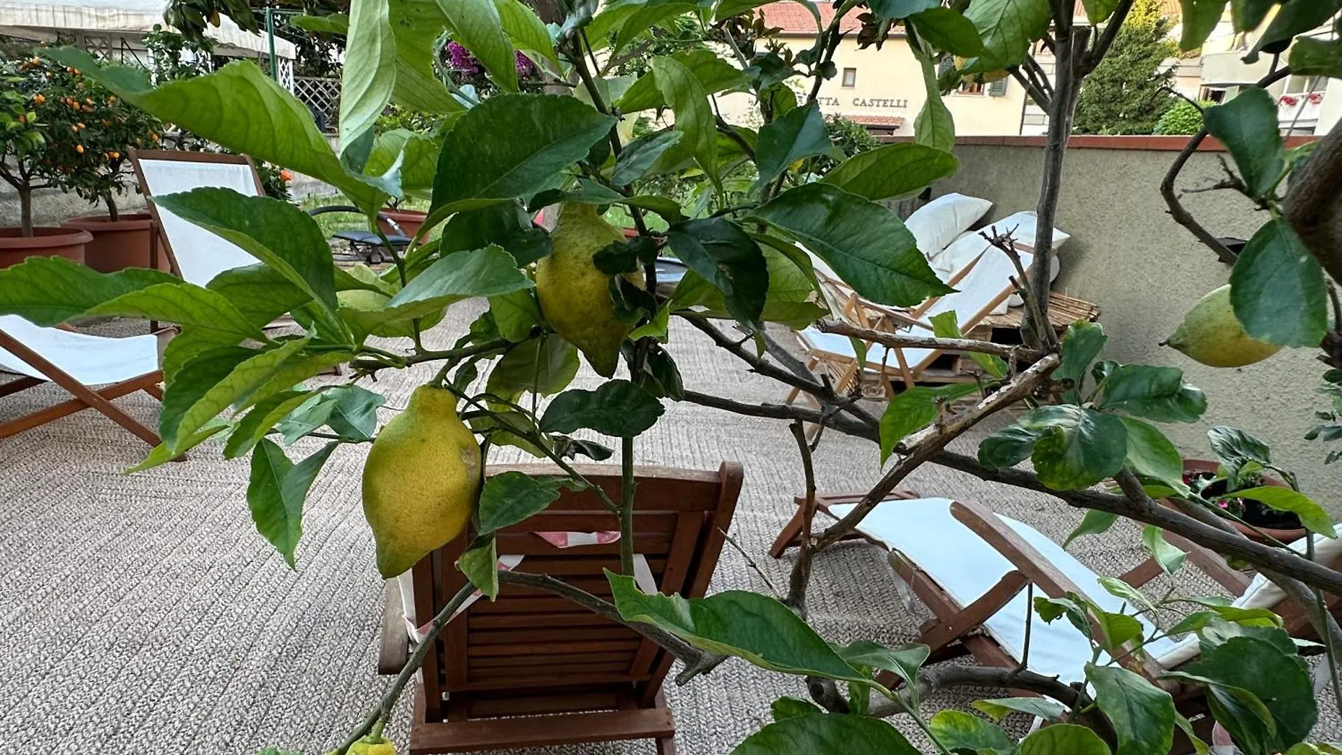 Domus Socolatae Cocoa Journey Tuscan Lifestyle B&B Follonica