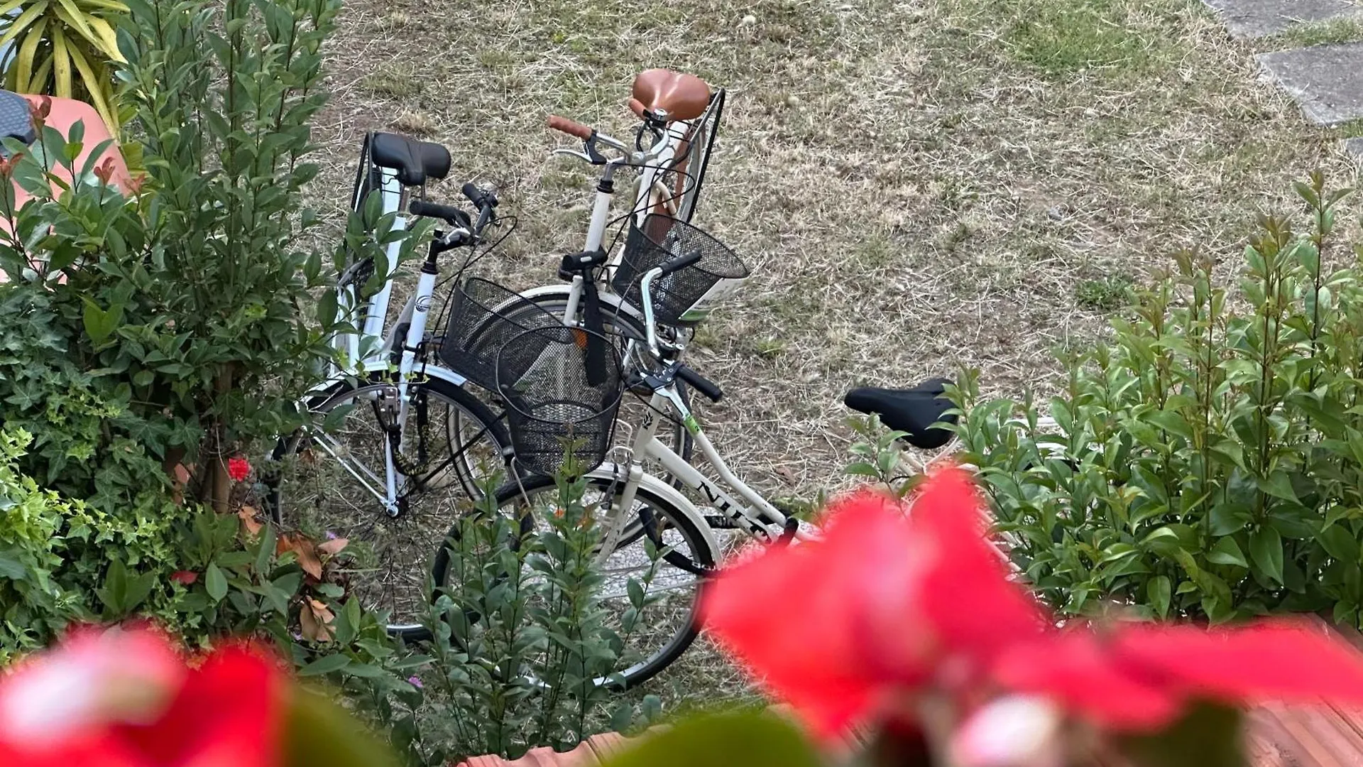 Bed & Breakfast Domus Socolatae Cocoa Journey Tuscan Lifestyle B&B Follonica Italien